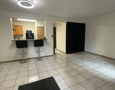 1829 S Carpenter Street - Photo Thumbnail 1