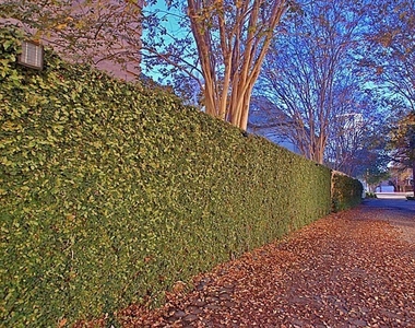 1802 Potomac - Photo Thumbnail 37