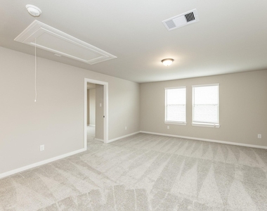30338 Tall Fescue Drive - Photo Thumbnail 22