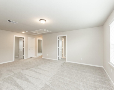 30338 Tall Fescue Drive - Photo Thumbnail 23