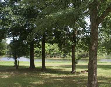 2335 Morgan Ridge Lane - Photo Thumbnail 45