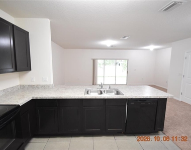 12921 Shady Fern Lane - Photo Thumbnail 9