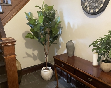 169 Madison Street - Photo Thumbnail 4