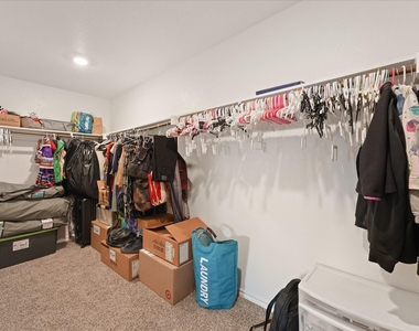 1403 Thunder Canyon Way - Photo Thumbnail 15