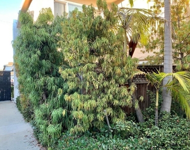 1222 Amethyst Street - Photo Thumbnail 1
