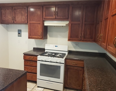 1022 W Calle De Las Estrellas - Photo Thumbnail 4