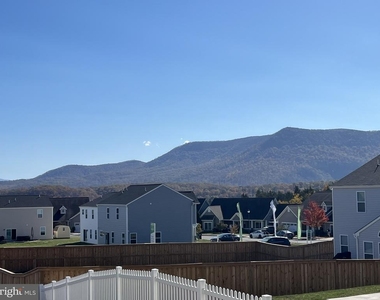 41 Signal Knob Cotta Drive - Photo Thumbnail 4