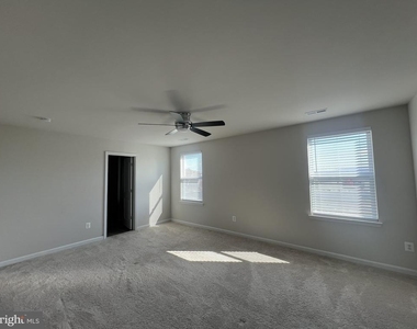 41 Signal Knob Cotta Drive - Photo Thumbnail 22