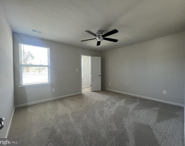 41 Signal Knob Cotta Drive - Photo Thumbnail 29
