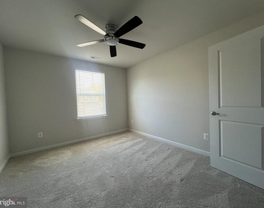 41 Signal Knob Cotta Drive - Photo Thumbnail 31