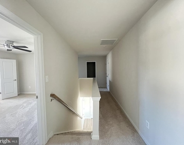 41 Signal Knob Cotta Drive - Photo Thumbnail 27