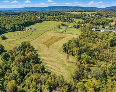 36437 Whispering Springs Court - Photo Thumbnail 26