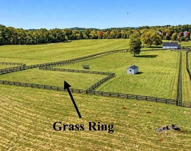 36437 Whispering Springs Court - Photo Thumbnail 24