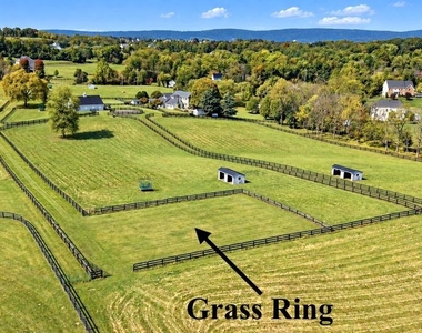 36437 Whispering Springs Court - Photo Thumbnail 3