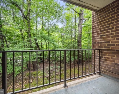 1423 Northgate Square - Photo Thumbnail 22