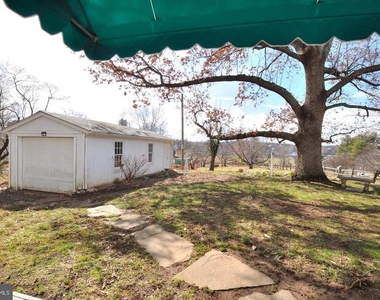 194 Waterloo Street - Photo Thumbnail 10
