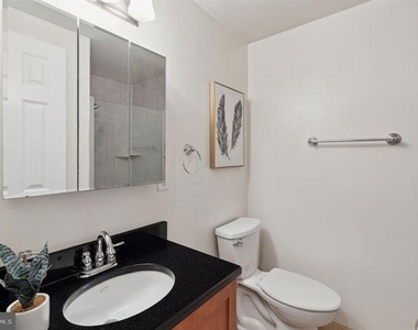 1305 Spruce Street - Photo Thumbnail 10