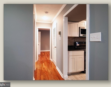 11206 Cherry Hill Road - Photo Thumbnail 10
