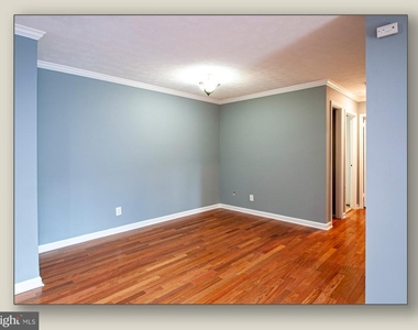 11206 Cherry Hill Road - Photo Thumbnail 9