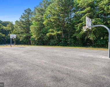 11516 Deadwood Drive - Photo Thumbnail 60