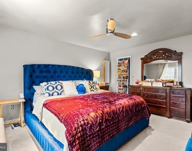 24 Jameson Lane - Photo Thumbnail 23