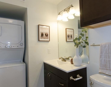 2529 Rio Grande St - Photo Thumbnail 15