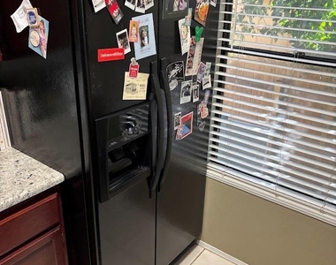 4419 Silverstone Dr - Photo Thumbnail 6