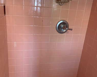 1 BR Apartment in Bronx - Photo Thumbnail 5