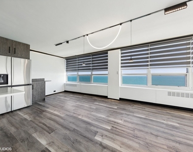 4800 S Chicago Beach Drive - Photo Thumbnail 9