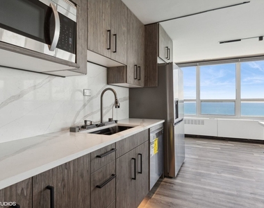 4800 S Chicago Beach Drive - Photo Thumbnail 5