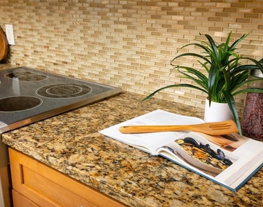 220 108th Avenue - Photo Thumbnail 20