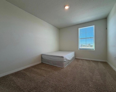 12072 Downy Birch Drive - Photo Thumbnail 19