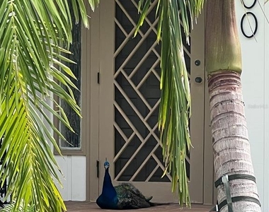 700 Longboat Court - Photo Thumbnail 35