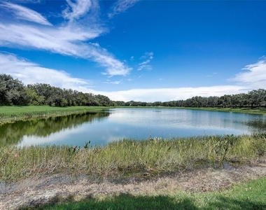 12207 Lavender Loop - Photo Thumbnail 29