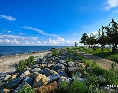 56 Richmondville Avenue - Photo Thumbnail 28