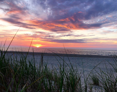 1201 Ocean Avenue - Photo Thumbnail 31