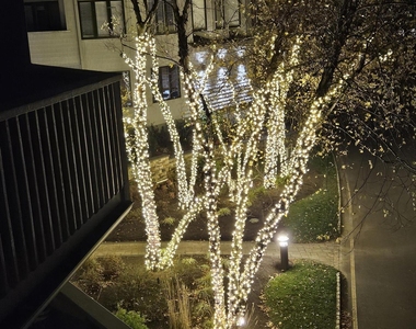 210 Ashley Avenue - Photo Thumbnail 30