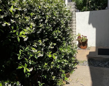 1122 Campbell Street - Photo Thumbnail 3