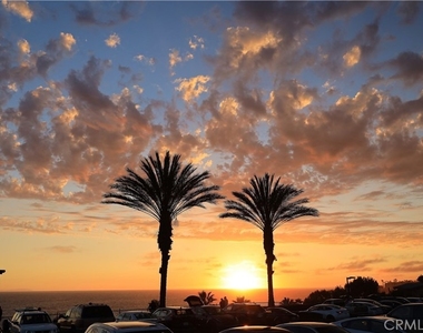 105 Palm Beach - Photo Thumbnail 30