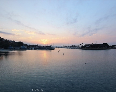 105 Palm Beach - Photo Thumbnail 29
