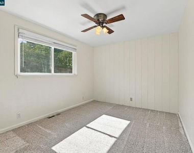 304 Gil Blas Rd - Photo Thumbnail 19
