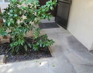 305 Broadway Street - Photo Thumbnail 28