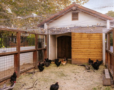 3211 Retreat Court - Photo Thumbnail 46