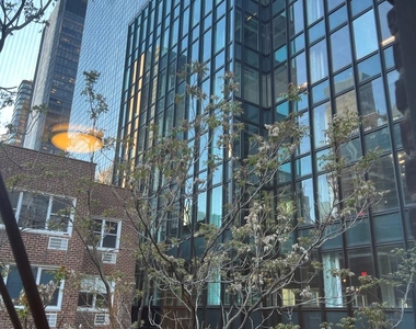 East 51st Street - Photo Thumbnail 6