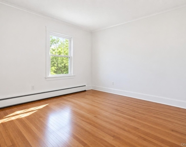 351 Manhattan Avenue - Photo Thumbnail 16