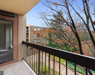 803 N Howard Street - Photo Thumbnail 21