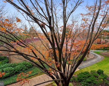 803 N Howard Street - Photo Thumbnail 24