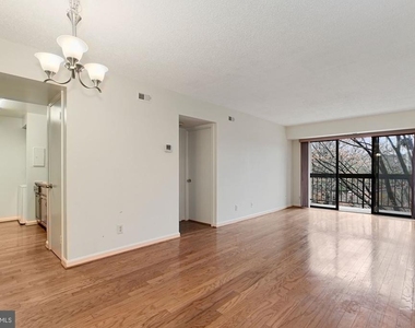 803 N Howard Street - Photo Thumbnail 15