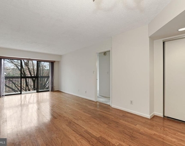 803 N Howard Street - Photo Thumbnail 14