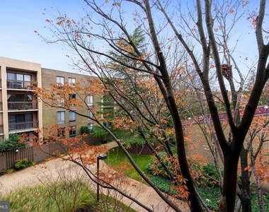 803 N Howard Street - Photo Thumbnail 23